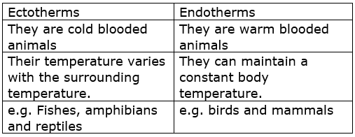 Distinguish between the following: Ectotherms and Endotherms