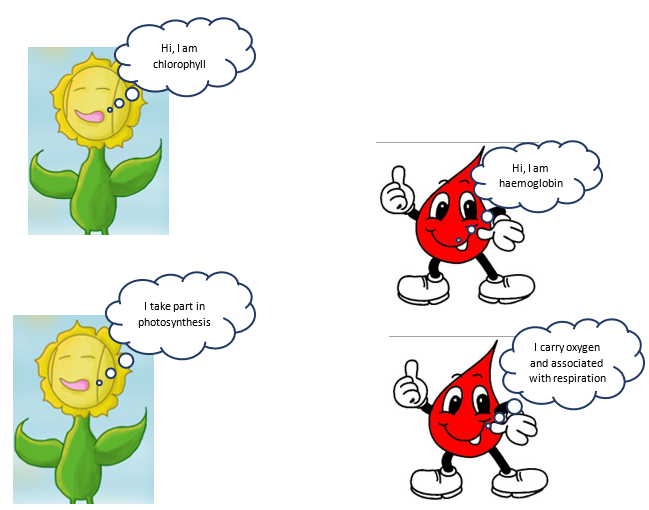 Prepare a cartoon on discussion between hemoglobin and chlorophyll about  respiration (AS7)