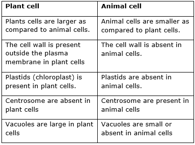 Differentiate between ( 1) Plant cell and animal cell