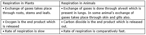 A. Give the main points of difference between respiration in plants and  respiration in animals. B. Describe the exchange of gases which takes place  in the leaves of a plant (i) During