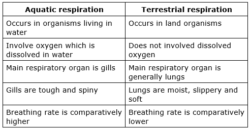 Distinguish between aquatic and terrestrial respiration.
