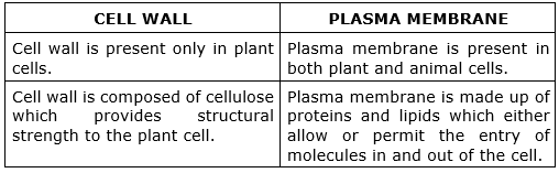 What is the basic difference between: Cell wall and plasma membrane.