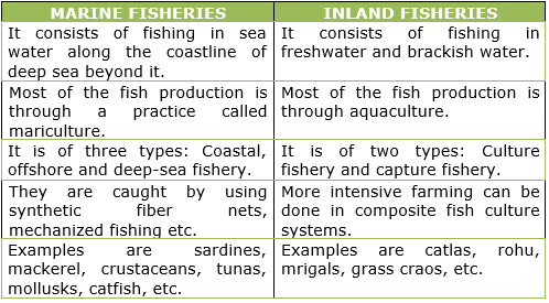 Give differences between marine fisheries and inland fisheries in detail.