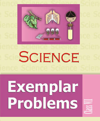 07: Chapter 7 / Examplar Problems